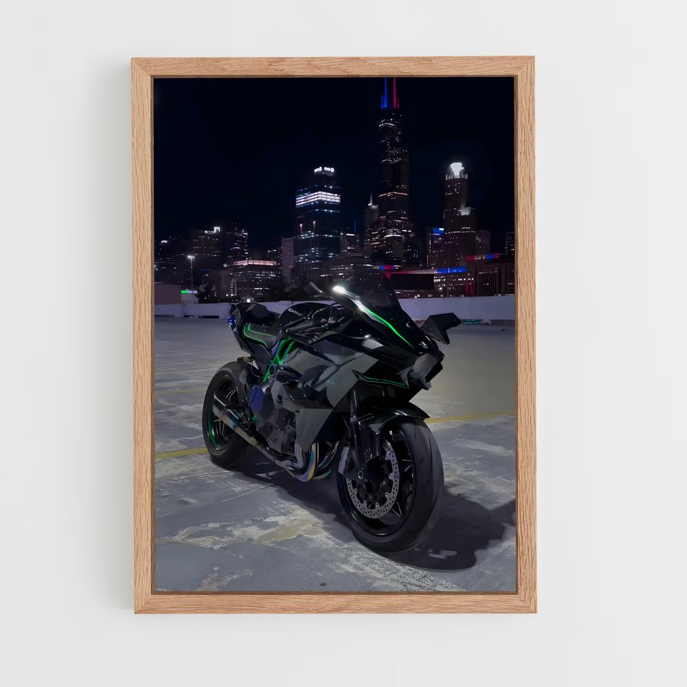 Poster Ninja H2 Énigmatique (vue 4)